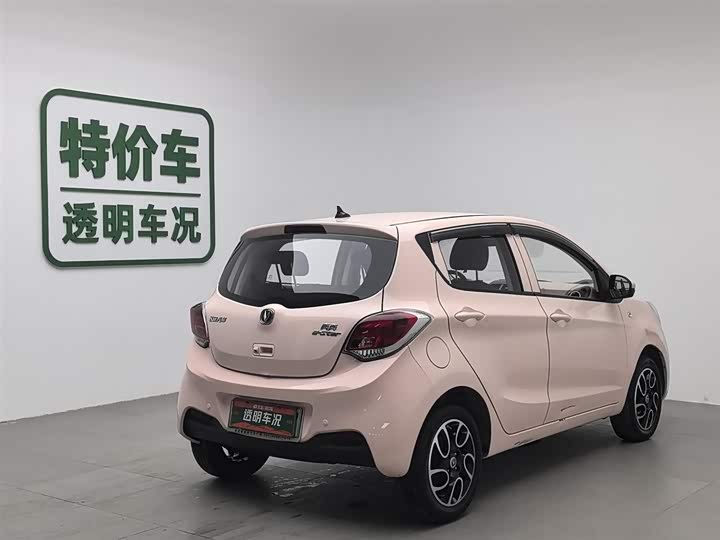 Changan BenBen E-Star 2021 2021款 国民版 多彩款 磷酸铁锂（31.95kWh）