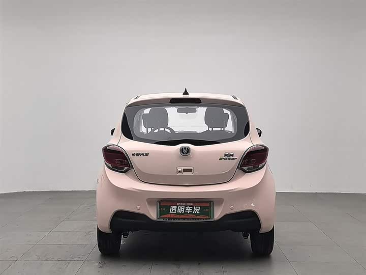 Changan BenBen E-Star 2021 2021款 国民版 多彩款 磷酸铁锂（31.95kWh）