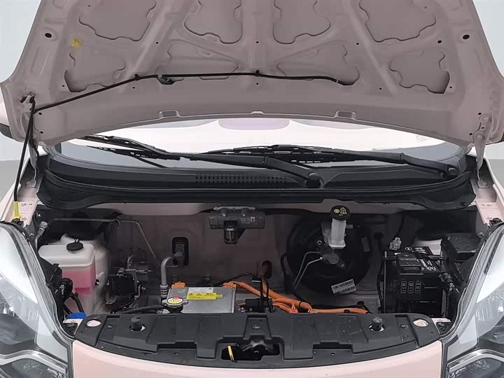 Changan BenBen E-Star 2021 2021款 国民版 多彩款 磷酸铁锂（31.95kWh）