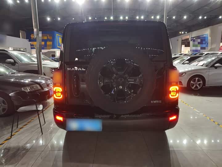 Haval H9 2024 2024款 2.4T 柴油四驱拓境版