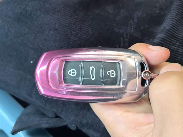 Geely Galaxy Panda Mini 2025 2025款 熊猫mini 210km 元气熊