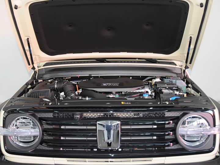 Tank 300 Hybrid 2025 2025款 Hi4-T 37.1kWh