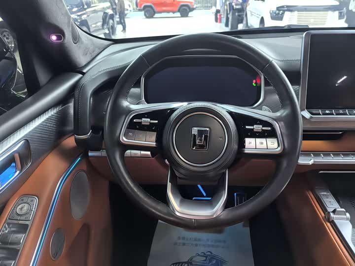 Tank 700 Hybrid 2024 2024款 Hi4-T 极境版