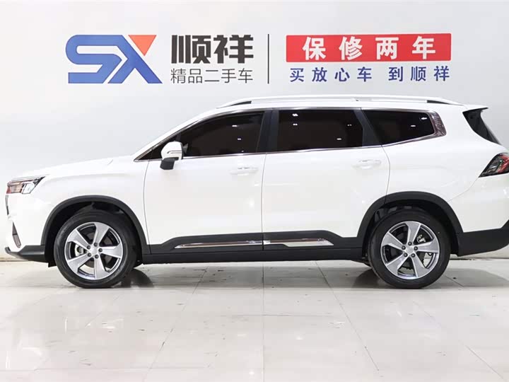 Geely Okavango L 2024 2024款 2.0T DCT旗舰型
