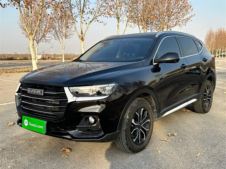Haval H6 2025 2025款 1.5T 国潮都市版