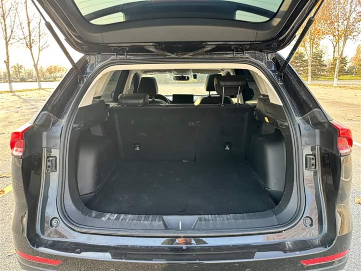 Haval H6 2025 2025款 1.5T 国潮都市版