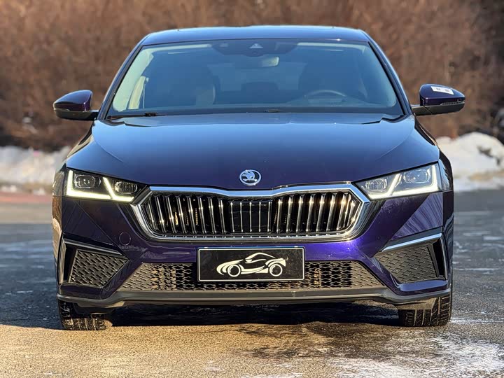 Skoda Octavia Pro 2022 2022款 PRO TSI280 奢享版