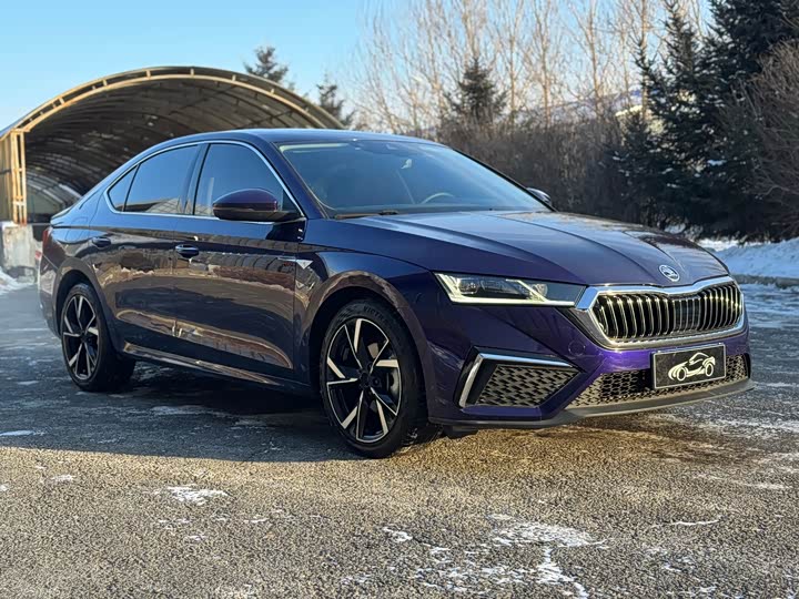 Skoda Octavia Pro 2022 2022款 PRO TSI280 奢享版