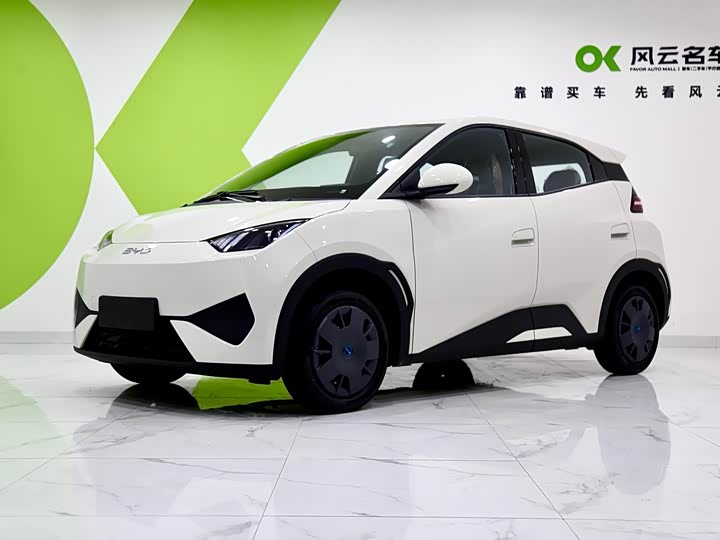 BYD Seagull 2025 2025款 智驾版 305km 活力版