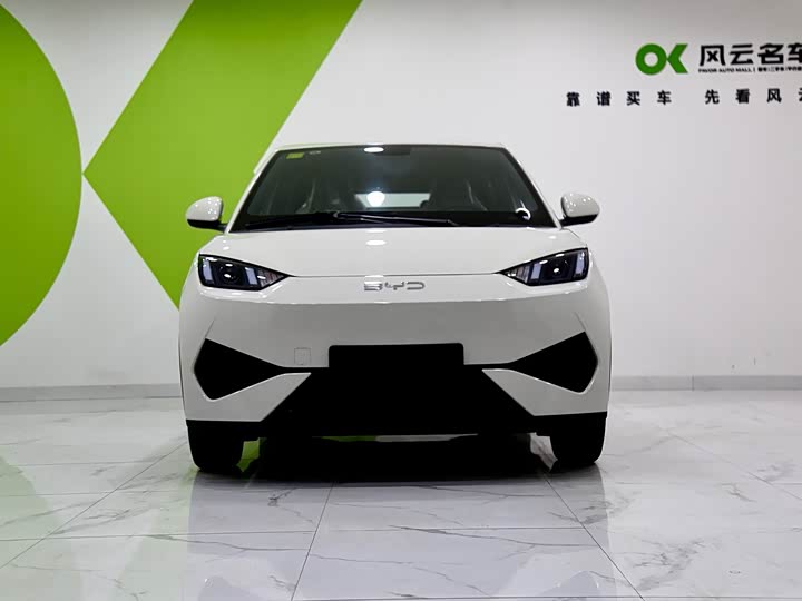 BYD Seagull 2025 2025款 智驾版 305km 活力版