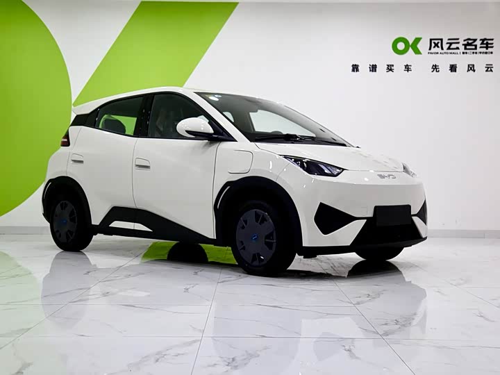 BYD Seagull 2025 2025款 智驾版 305km 活力版