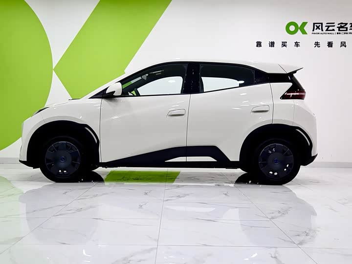 BYD Seagull 2025 2025款 智驾版 305km 活力版