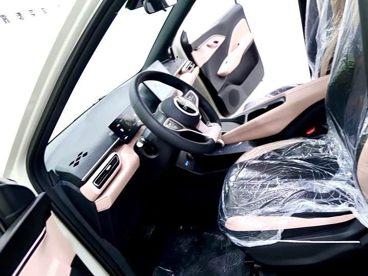 BYD Seagull 2025 2025款 智驾版 305km 活力版