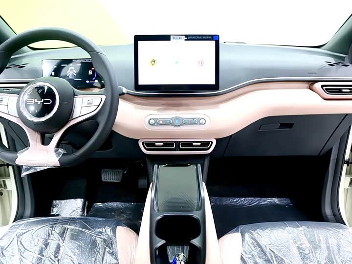 BYD Seagull 2025 2025款 智驾版 305km 活力版