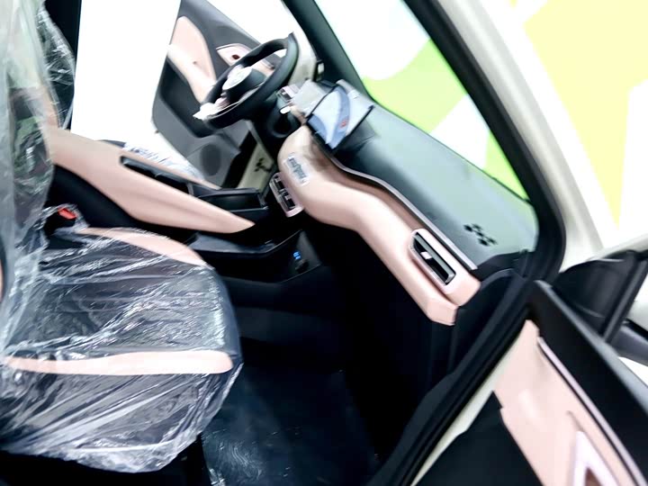 BYD Seagull 2025 2025款 智驾版 305km 活力版