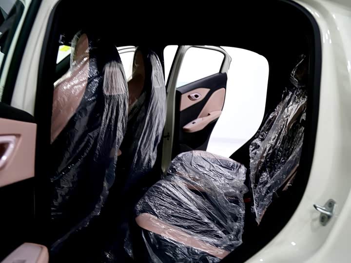 BYD Seagull 2025 2025款 智驾版 305km 活力版