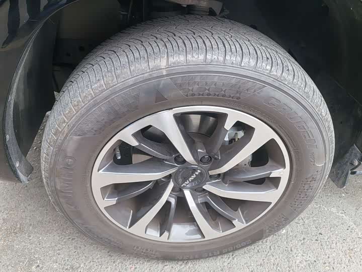 Haval H9 2024 2024款 2.0T 汽油四驱极境版