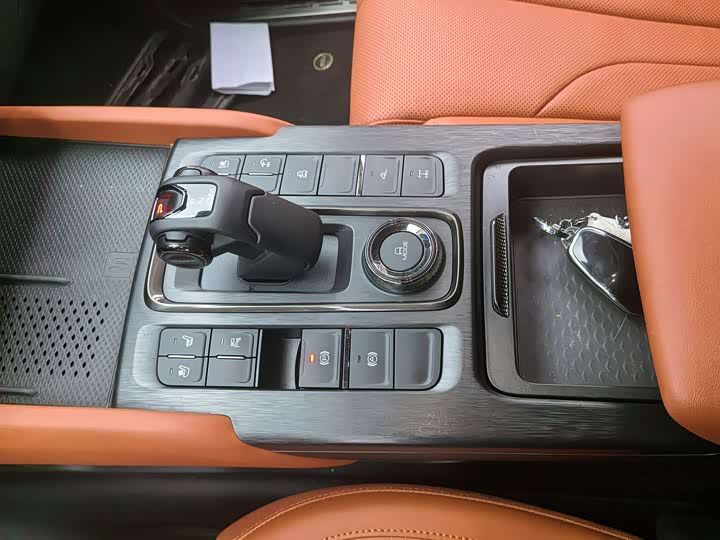 Haval H9 2024 2024款 2.0T 汽油四驱极境版