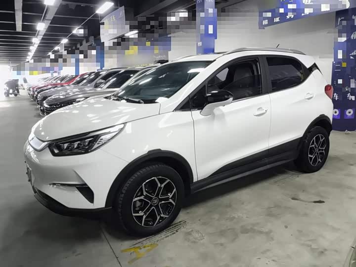 BYD Yuan Pro 2021 2021款 401KM 尊贵型