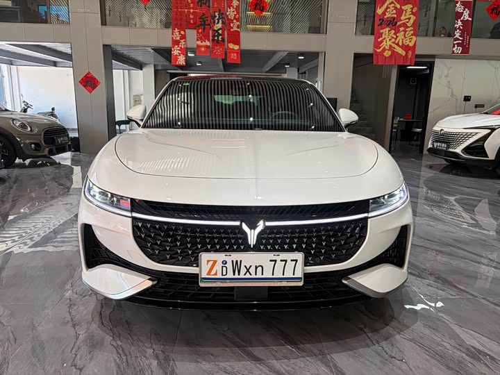 Voyah Passion 2024 2024款 PHEV 四驱超长续航旗舰版