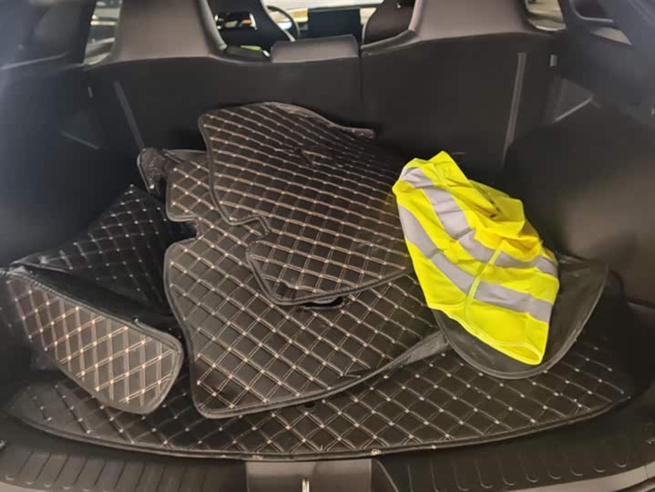 Haval H6S 2022 2022款 1.5T DHT悦跑版