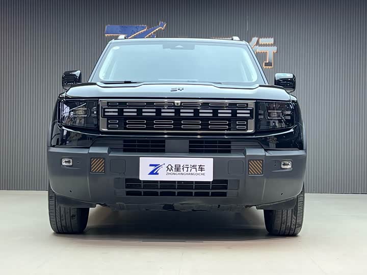 Jetour Shanhai T1 2024 2024款 150km 向海