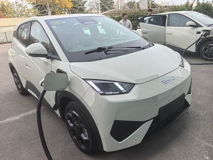 BYD Seagull 2025 2025款 智驾版 405km 飞翔版