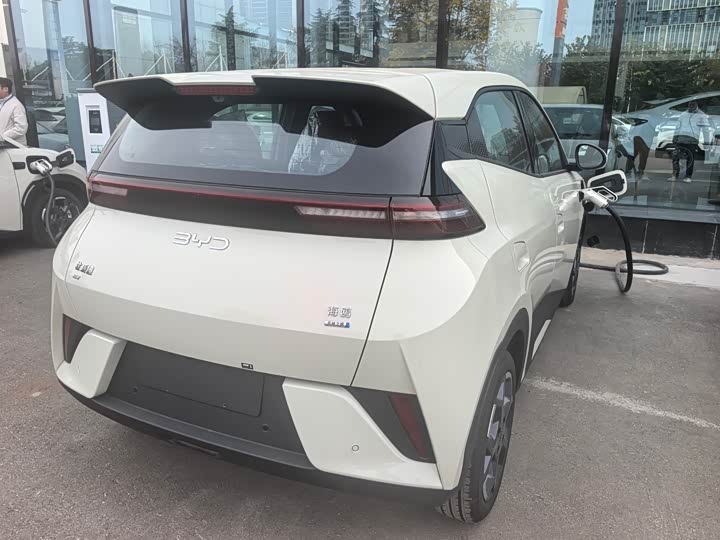 BYD Seagull 2025 2025款 智驾版 405km 飞翔版