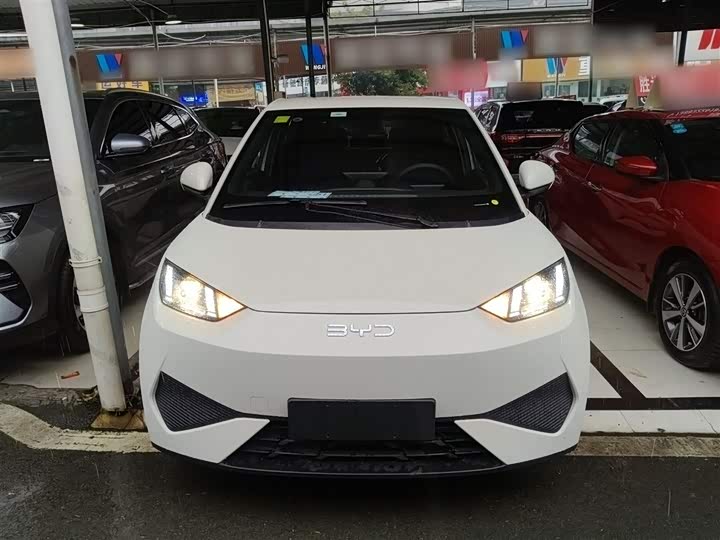 BYD Seagull 2025 2025款 智驾版 305km 活力版