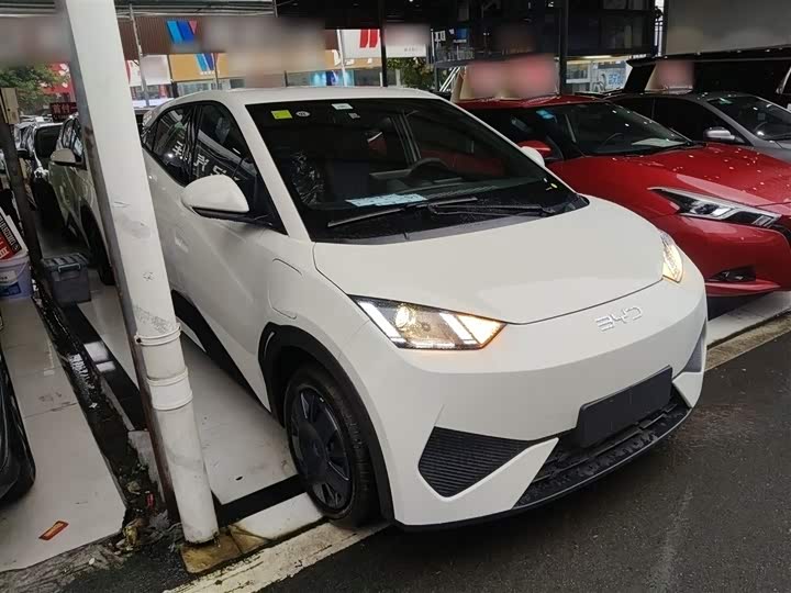 BYD Seagull 2025 2025款 智驾版 305km 活力版