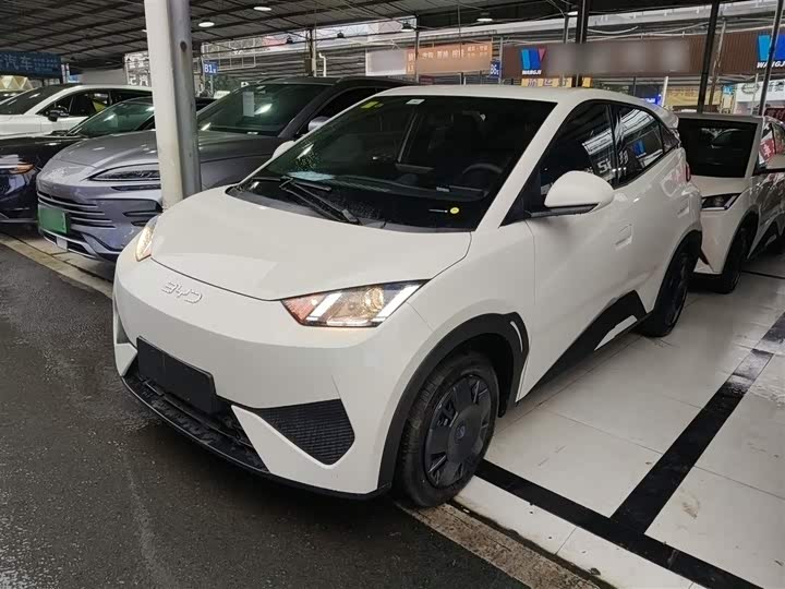 BYD Seagull 2025 2025款 智驾版 305km 活力版