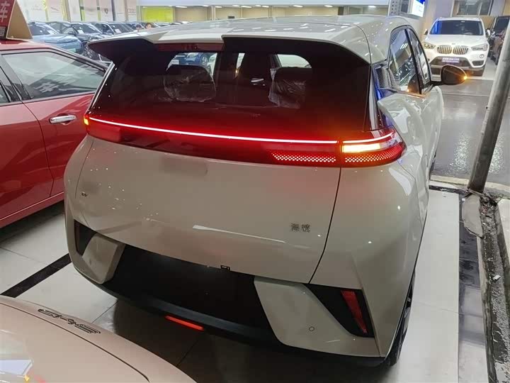 BYD Seagull 2025 2025款 智驾版 305km 活力版