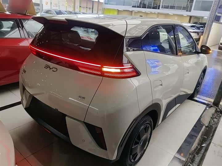 BYD Seagull 2025 2025款 智驾版 305km 活力版