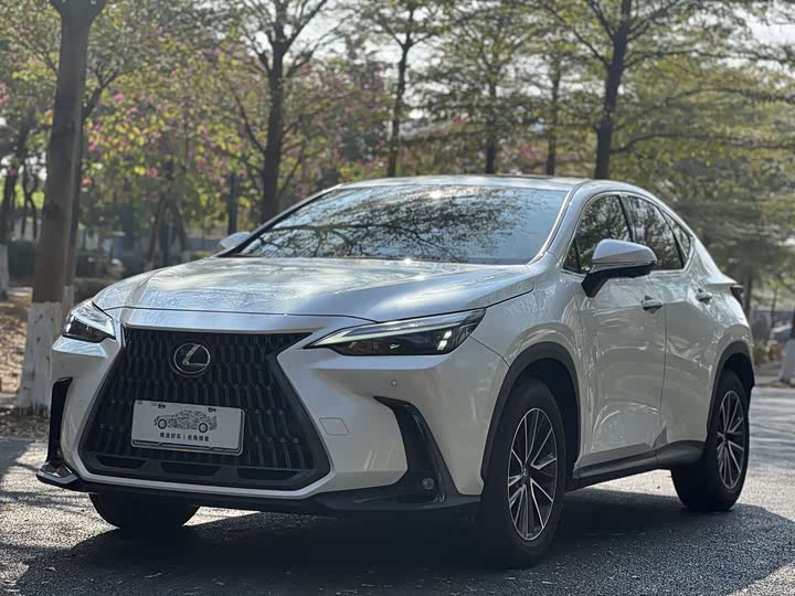Lexus NX 2023 2023款 260 前驱 创游特别版
