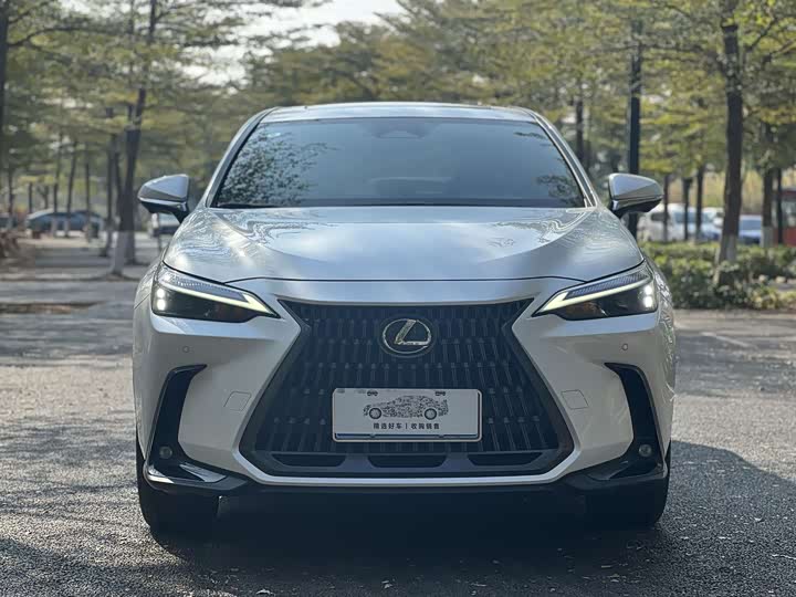 Lexus NX 2023 2023款 260 前驱 创游特别版