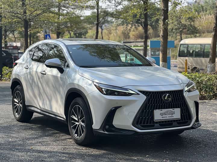 Lexus NX 2023 2023款 260 前驱 创游特别版