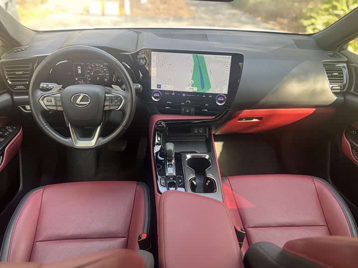 Lexus NX 2023 2023款 260 前驱 创游特别版