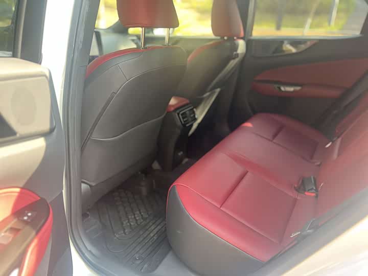 Lexus NX 2023 2023款 260 前驱 创游特别版