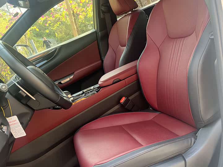 Lexus NX 2023 2023款 260 前驱 创游特别版