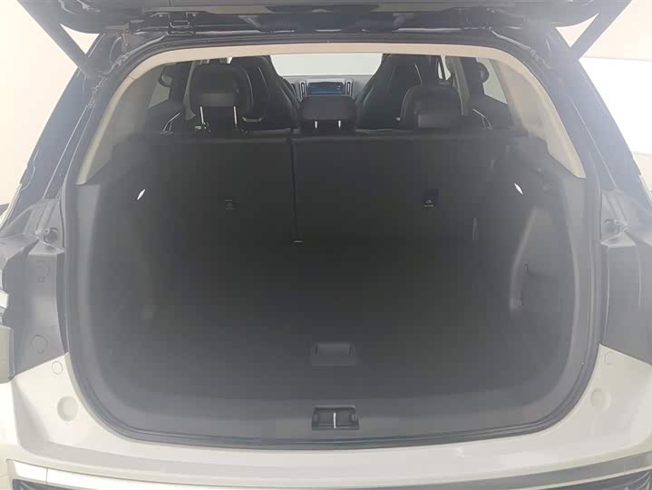 Hongqi HS3 Hybrid 2024 2024款 115km 劲为版