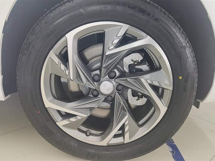 Hongqi HS3 Hybrid 2024 2024款 115km 劲为版