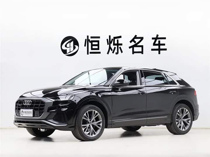 Audi Q8 2022 2022款 55 TFSI 豪华动感型