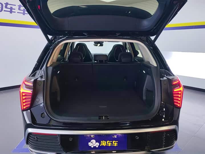 Hongqi HS3 Hybrid 2024 2024款 115km 劲为版