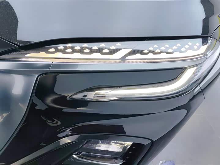 Hongqi HS3 Hybrid 2024 2024款 115km 劲为版