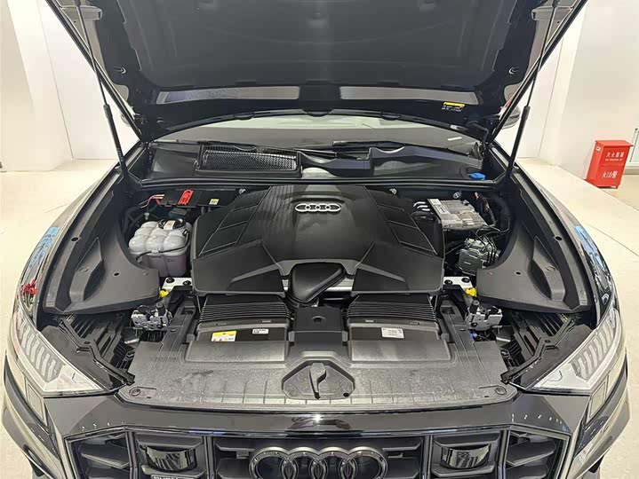 Audi Q8 2023 2023款 55 TFSI 尊享动感型
