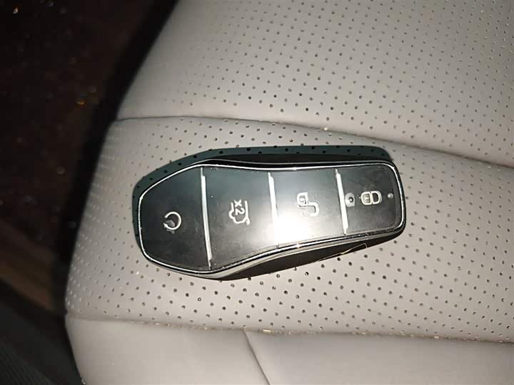 BYD Seal 07 DM-i Hybrid 2025 2025款 DM-i 1.5L 125km 豪华型