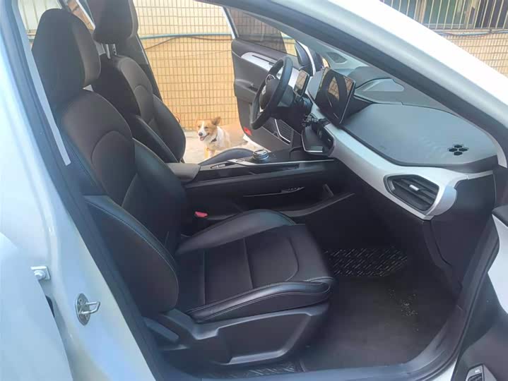 Geely Geometry A 2022 2022款 Pro 430KM 青苹果Pro