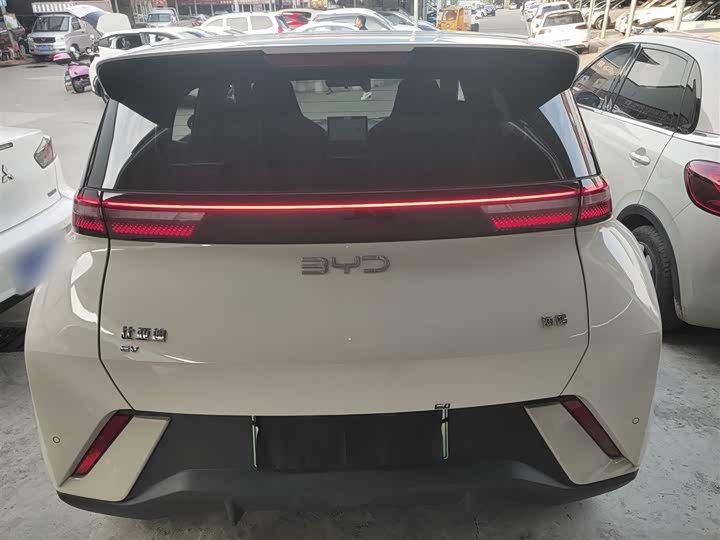 BYD Seagull 2025 2025款 305km 活力版