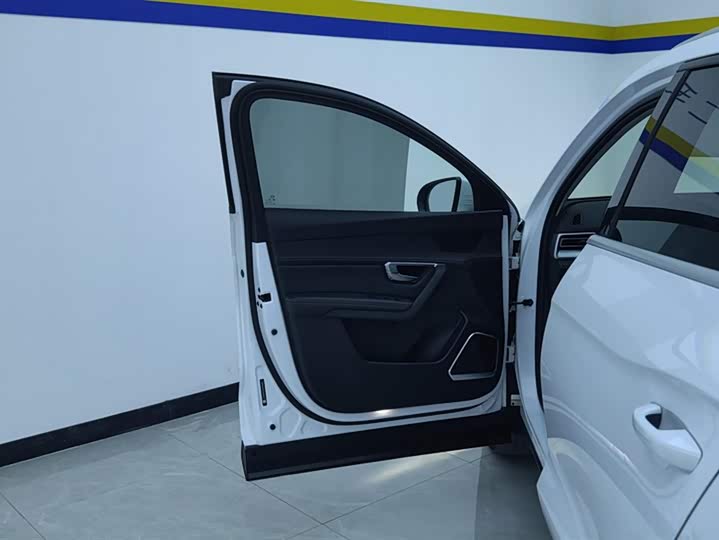 BYD Song Pro 2019 2019款 1.5T 自动精英型