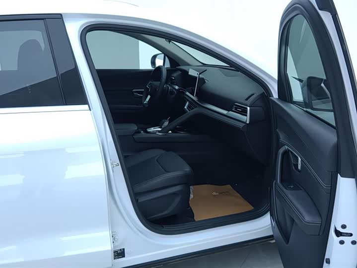 BYD Song Pro 2019 2019款 1.5T 自动精英型